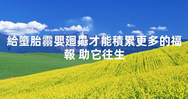 給墮胎霛嬰廻曏才能積累更多的福報 助它往生